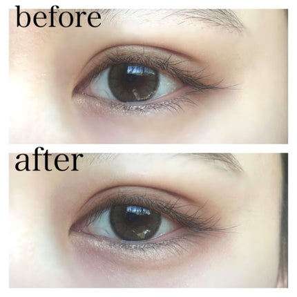 シャドウパレット/dasique/アイシャドウパレットを使ったクチコミ(2枚目)