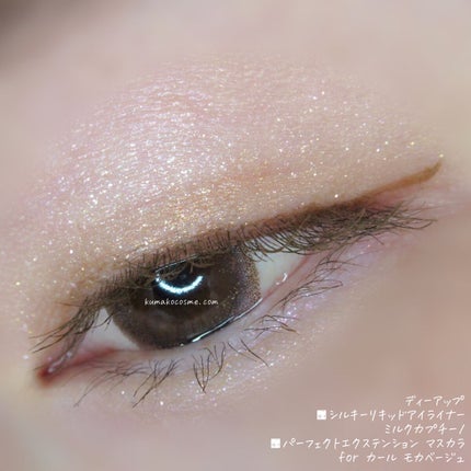 シルキーリキッドアイライナーWP/D-UP/リキッドアイライナーを使ったクチコミ(6枚目)