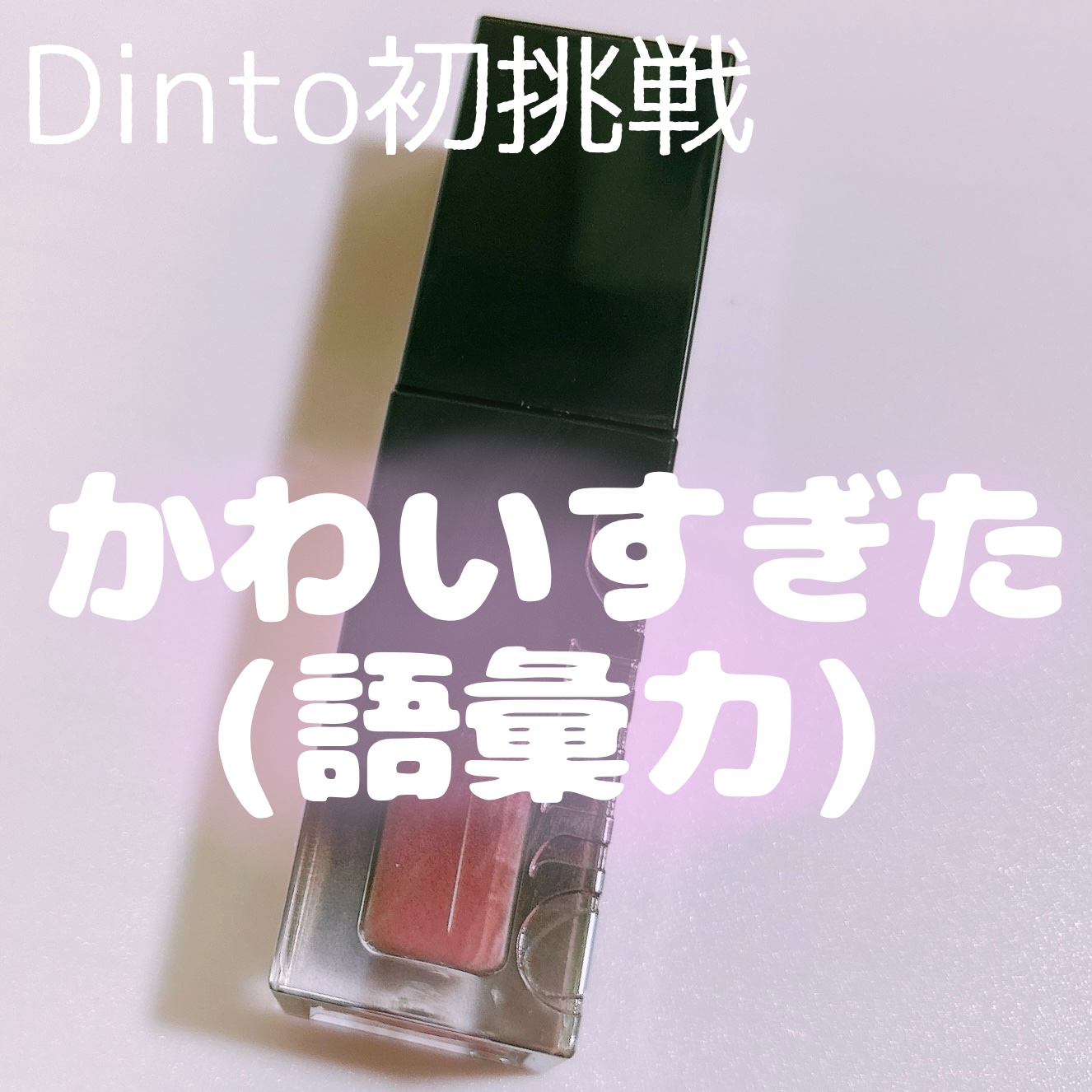 ブラーグロイリップティント/Dinto/リップティントを使ったクチコミ（1枚目）