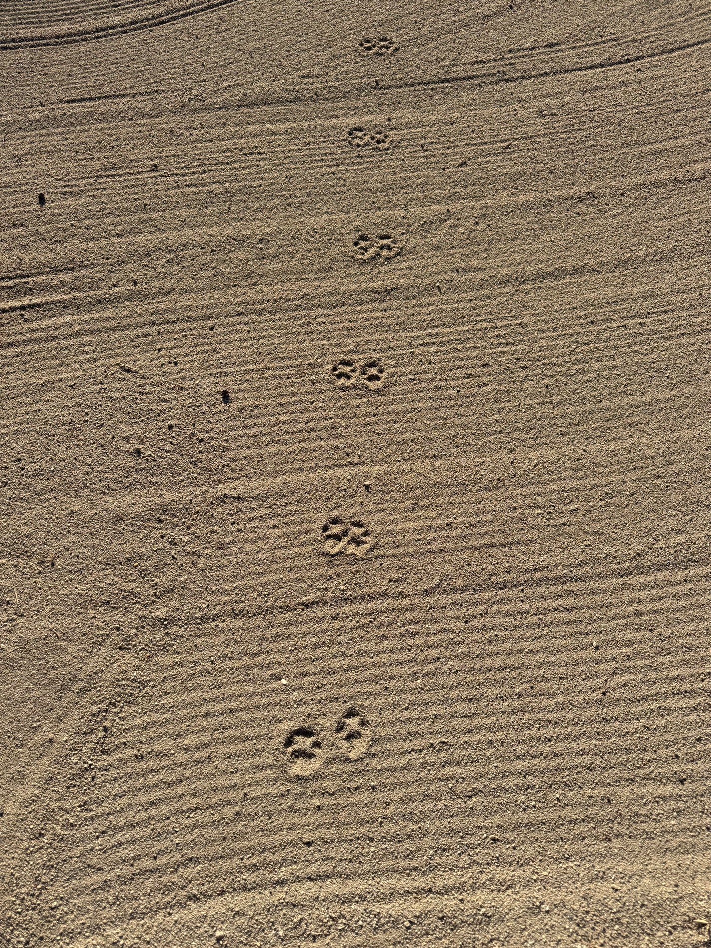 ð€Chloeð€ãã©ãã100 on LIPS ã倧奜ããªâ³ïžããŠããŸããð倧èªç¶ã«è§Šããããšãäœãåããããšå¿..ãïŒ1æç®ïŒ