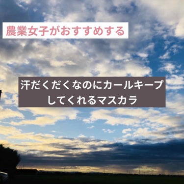 ⚠️注意⚠️
以下の状態の写真が2枚目にあります。
・眉毛のうぶ毛(?)の甘さ
・車の中で撮ったため黒目のぼかし
・目周りの肌の汚さ


こんにちは。
私は農業を仕事にしています。
故に汗をすごくかきま