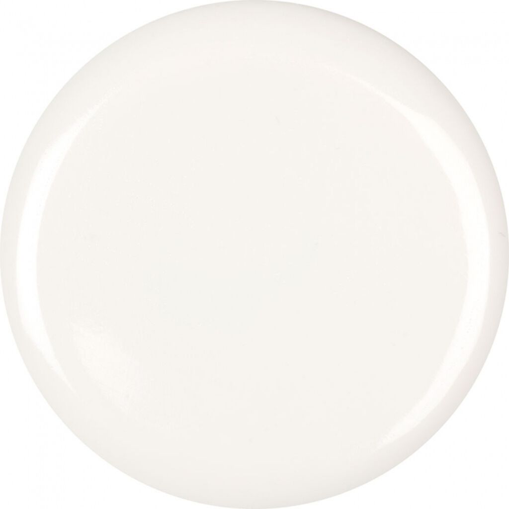 ラッシュ ホワイト ファング