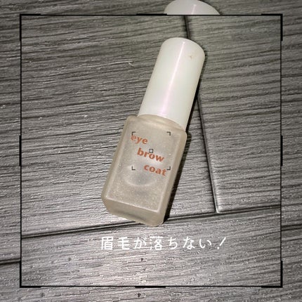 エバビレーナ アイブローコート/DAISO/アイブロウコートを使ったクチコミ(1枚目)