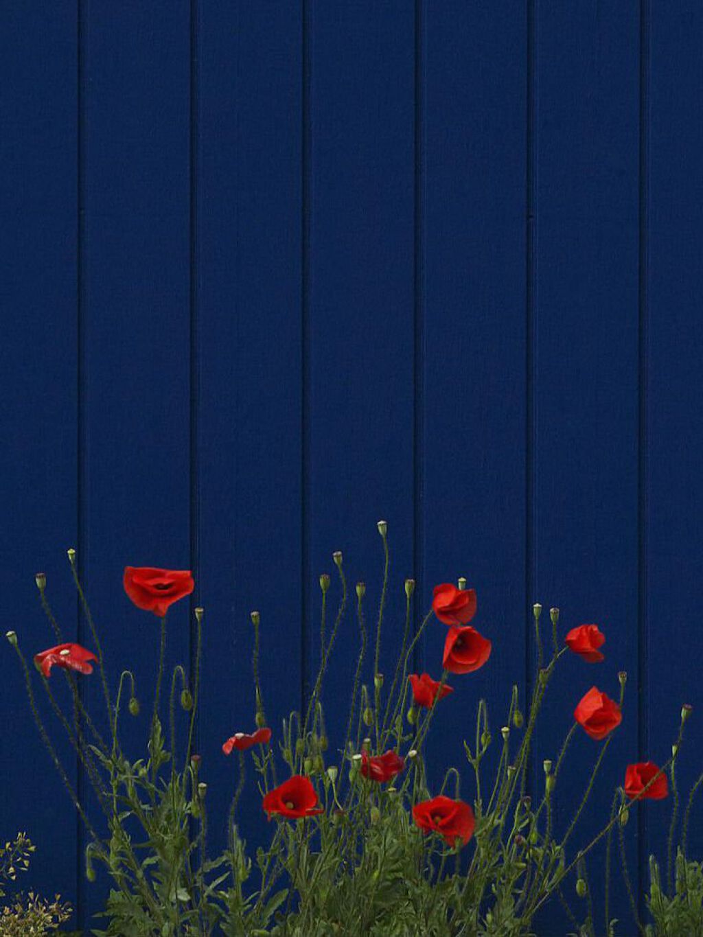 スキンミルク(しっとり)/ニベア/ボディミルクを使ったクチコミ（1枚目）