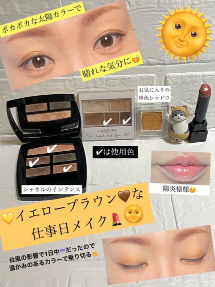 パラドゥ シングルアイシャドウ /パラドゥ/単色アイシャドウを使ったクチコミ(1枚目)