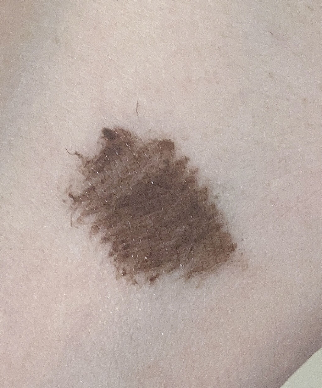 MD インスパイアロングラッシュ カーリングマスカラ/mude./マスカラを使ったクチコミ（2枚目）