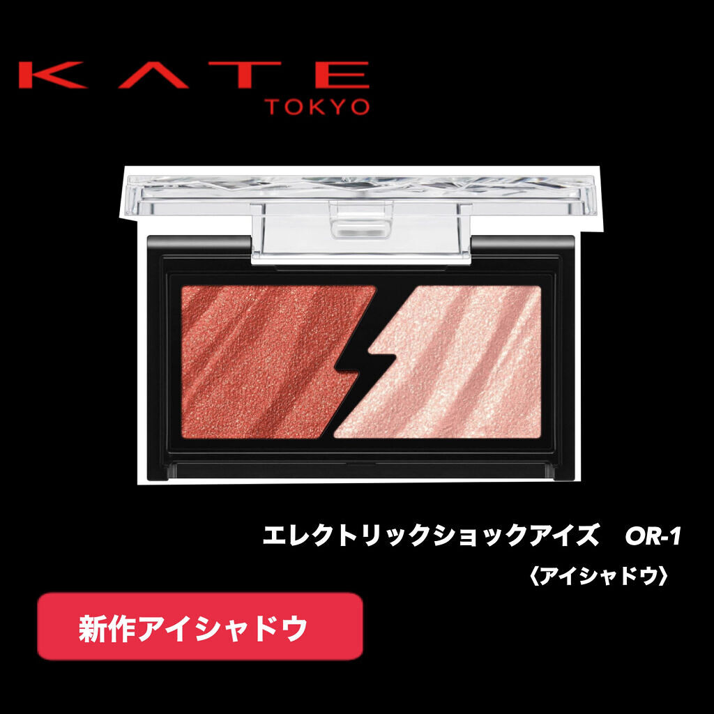 エレクトリックショックアイズ /KATE/アイシャドウパレットを使ったクチコミ（1枚目）