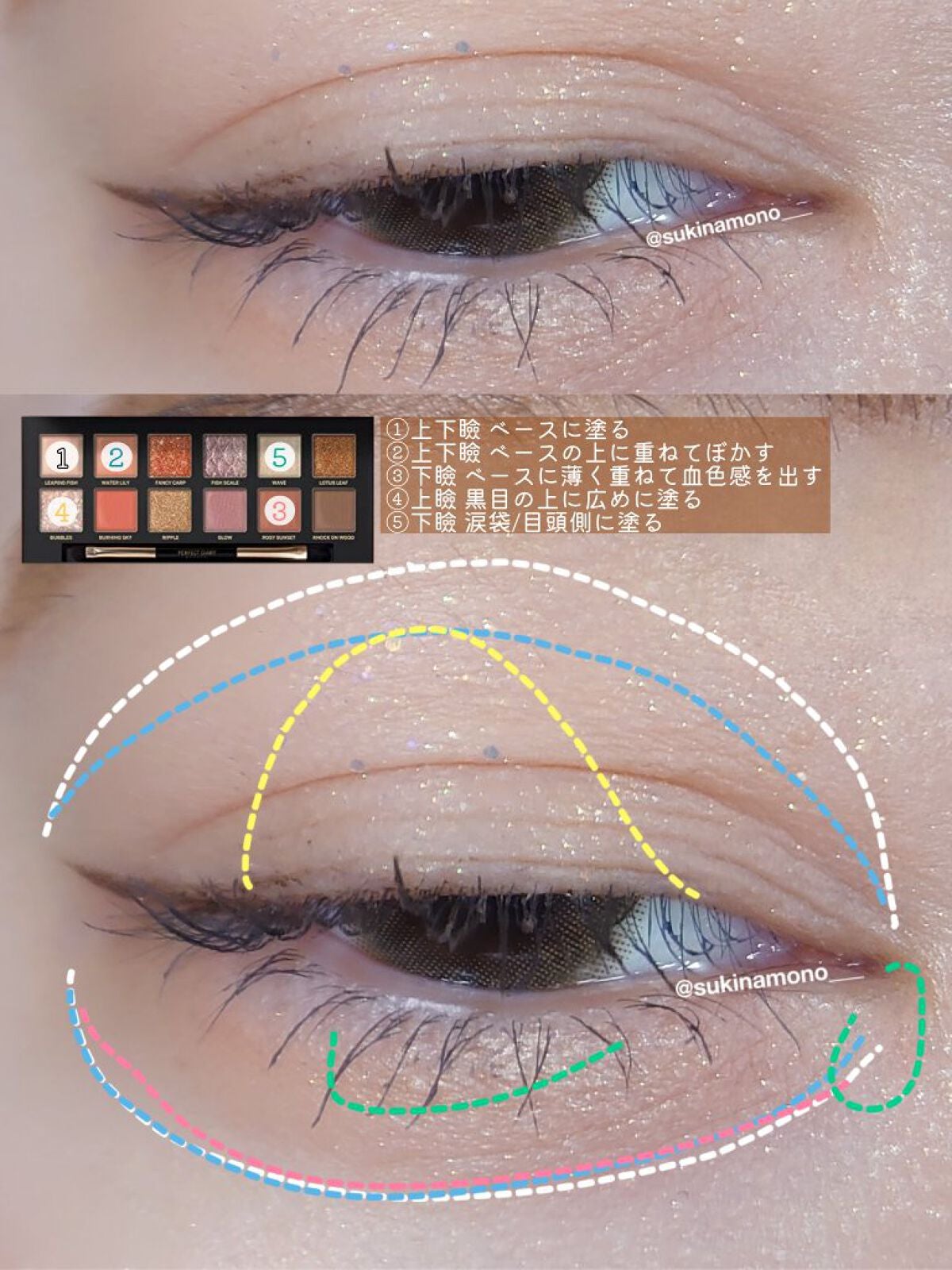 エクスプローラ12色 動物アイシャドウパレット/PERFECT DIARY/アイシャドウパレットを使ったクチコミ(2枚目)