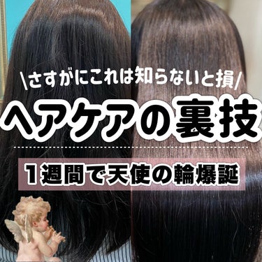 オイルトリートメント #EXヘアオイル シアーグロス/ルシードエル/ヘアオイルを使ったクチコミ（1枚目）