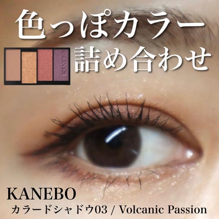 カラードシャドウ/KANEBO/アイシャドウパレットを使ったクチコミ(1枚目)