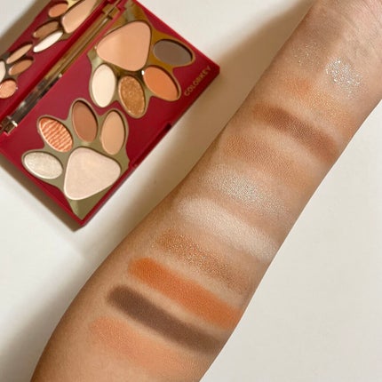 トラ十色アイシャドウパレット/COLORKEY/アイシャドウパレットを使ったクチコミ(5枚目)