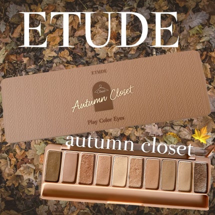 プレイカラー アイシャドウ/ETUDE/アイシャドウパレットを使ったクチコミ(1枚目)