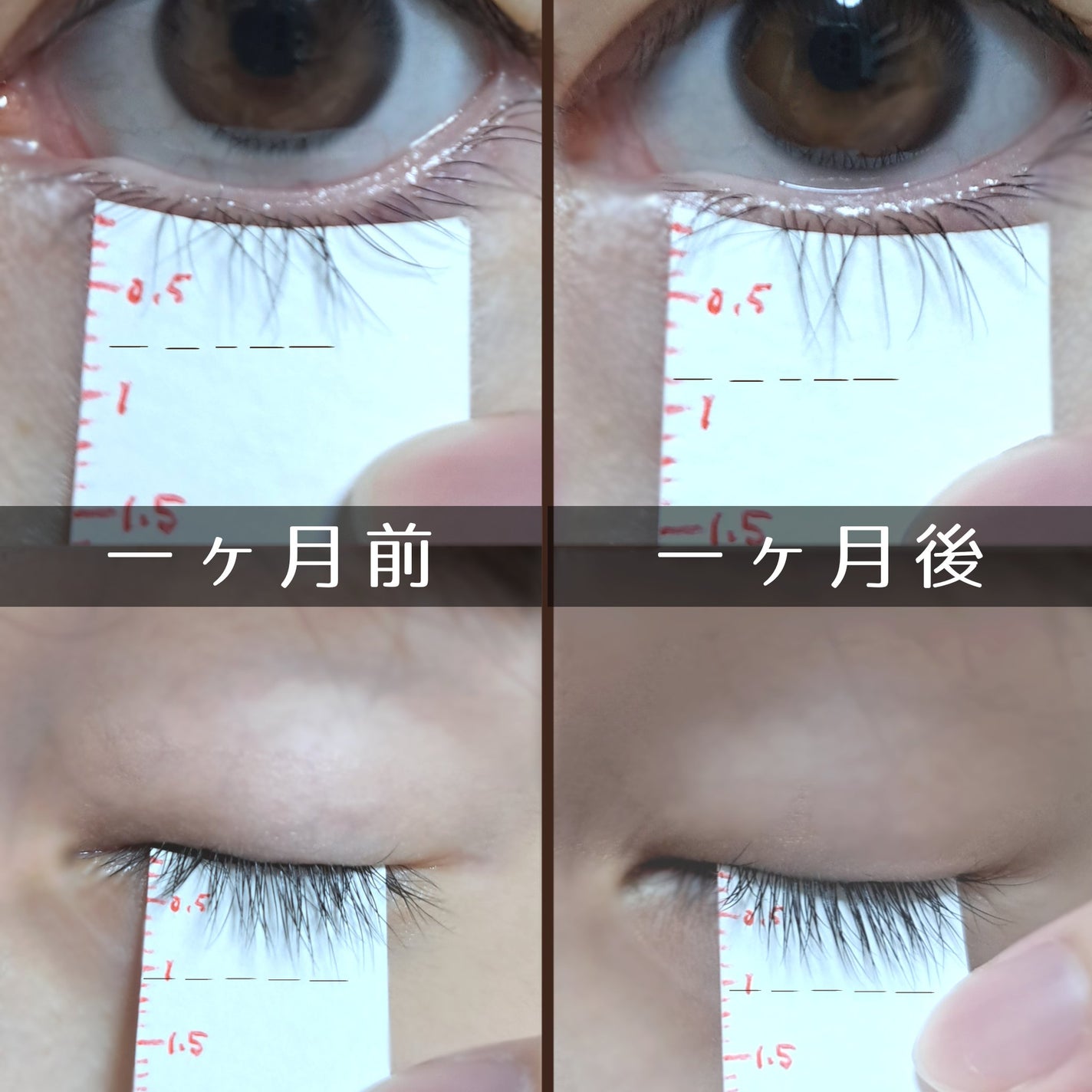 ラッシュリッチアイラッシュセラム/ロート製薬/まつげ美容液を使ったクチコミ(2枚目)