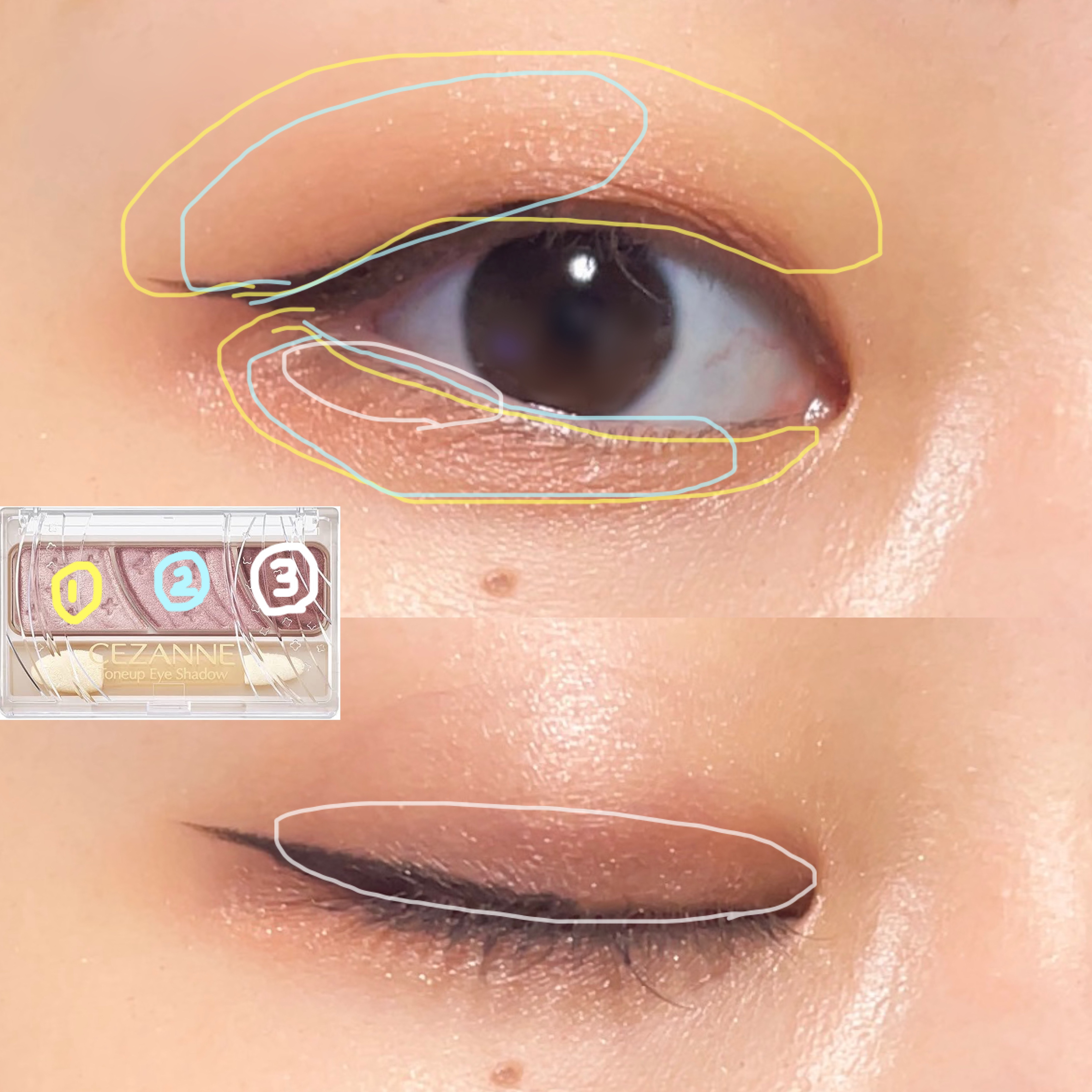 トーンアップアイシャドウ/CEZANNE/アイシャドウパレットを使ったクチコミ（2枚目）