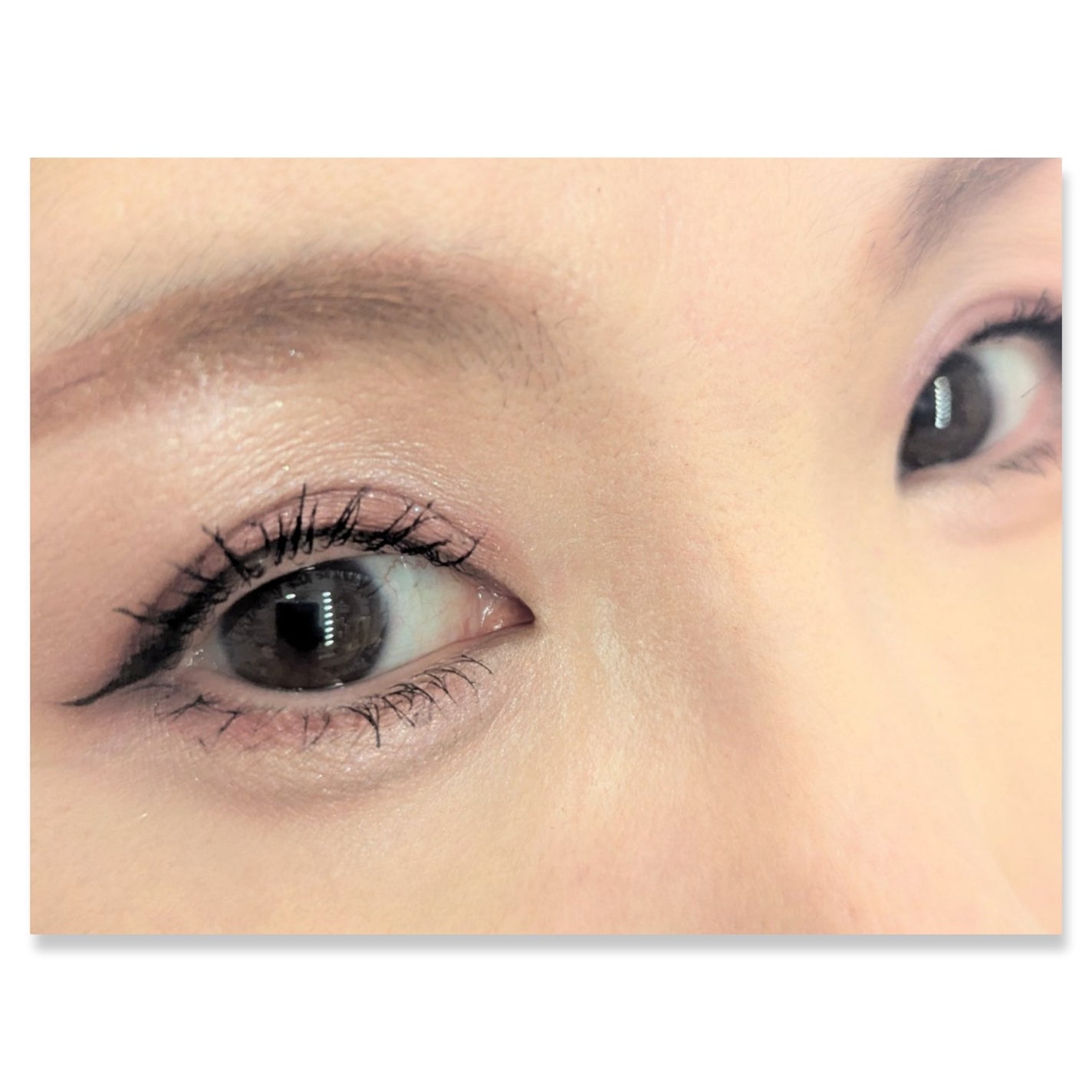 リアルクローズシャドウ/excel/アイシャドウパレットを使ったクチコミ(2枚目)