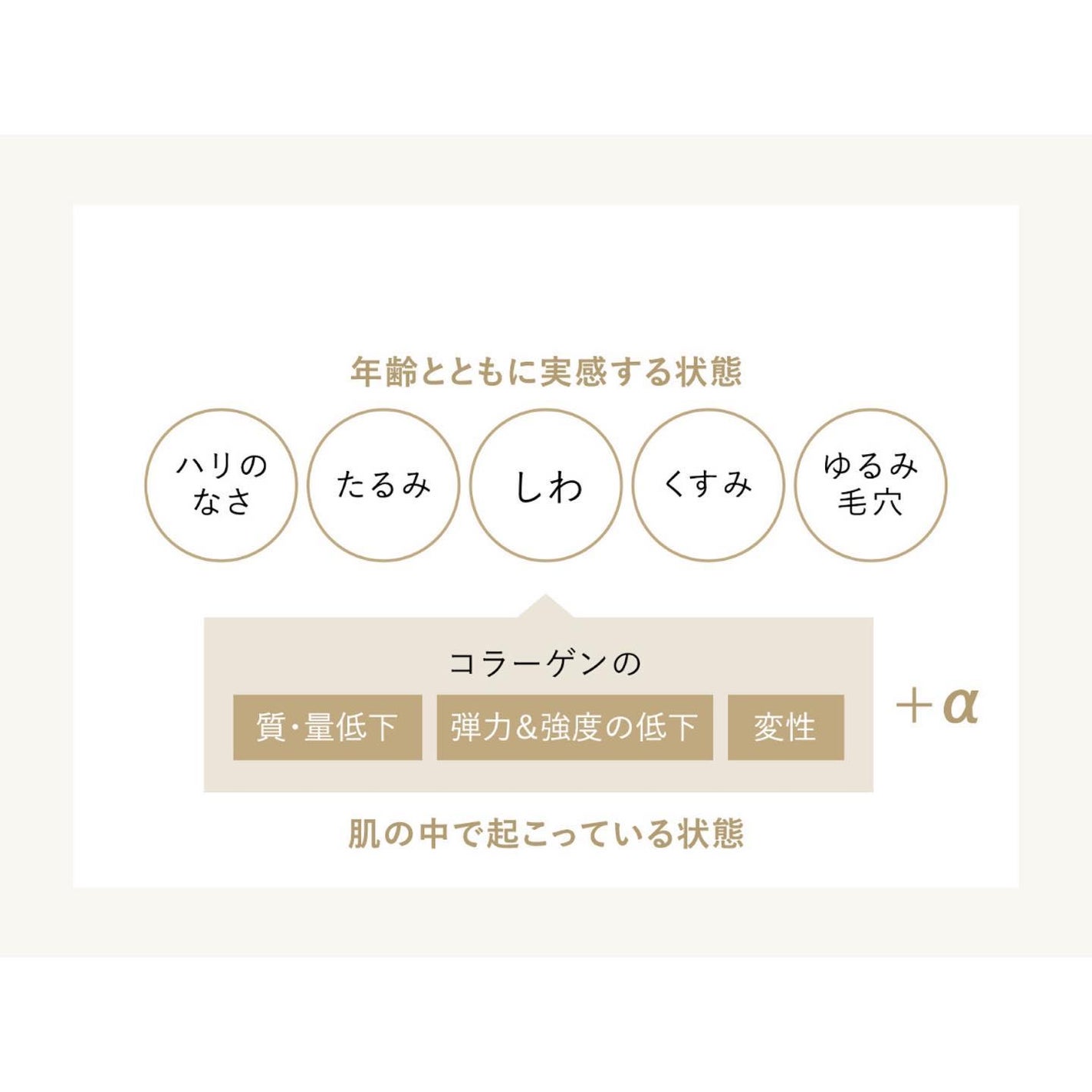 リフトモイスト ローション SP II /エリクシール/化粧水を使ったクチコミ(3枚目)