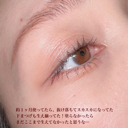 トゥルーアイラッシュセラム/mude/まつげ美容液を使ったクチコミ(5枚目)