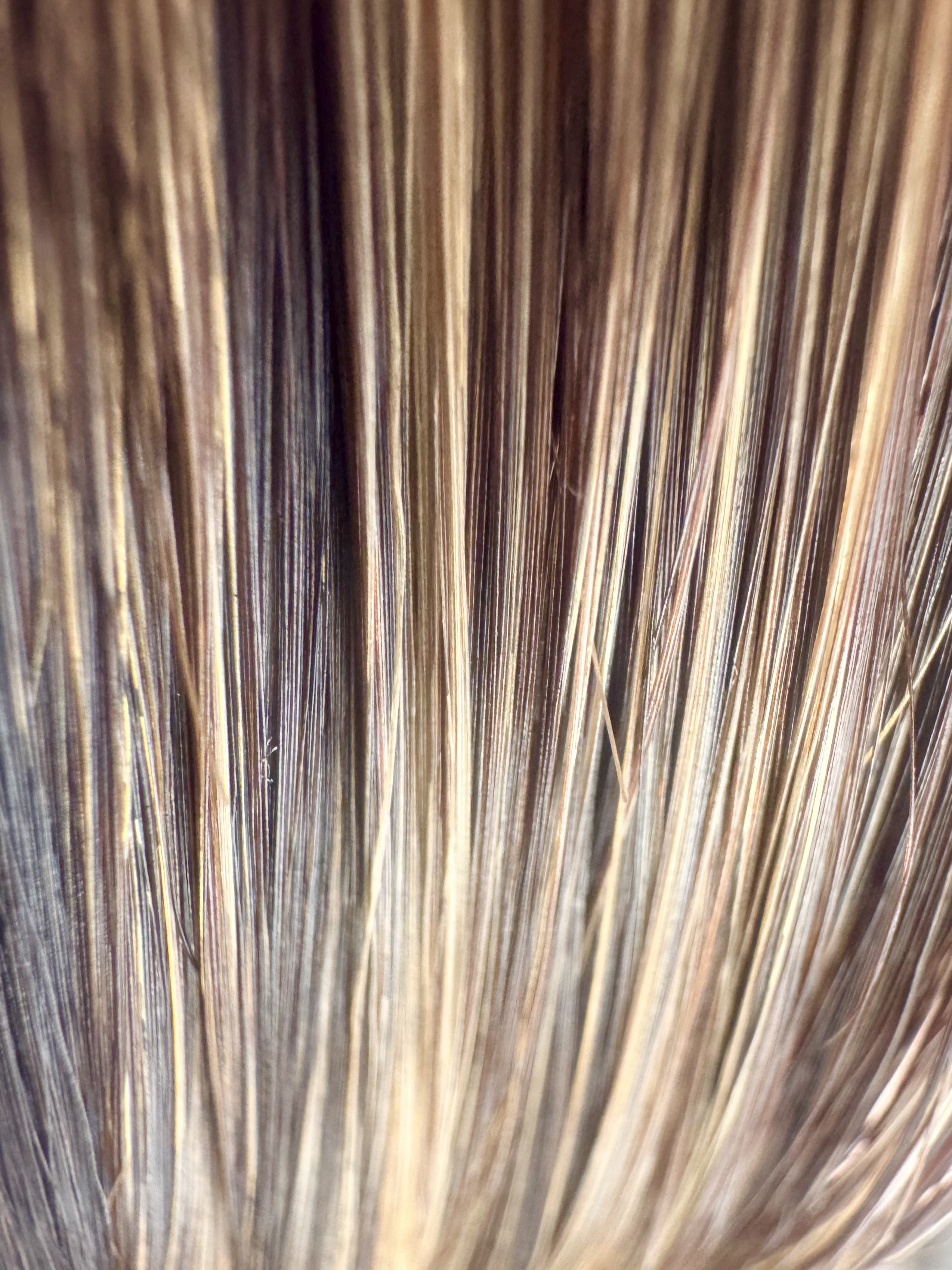 ISSHI イッシ ザ ヘアキープオイルβショット  モイストライトのクチコミ「˗ˋ 𝗜𝗦𝗦𝗛𝗜 髪変キープオイル🪮✨ˊ˗ 
熱をミカタに理想のヘアスタイルKEEP！
『さら.....」（3枚目）