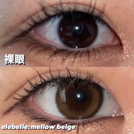 1DAY Refrear elebelle/Refrear/ワンデー(1DAY)カラコンを使ったクチコミ(3枚目)