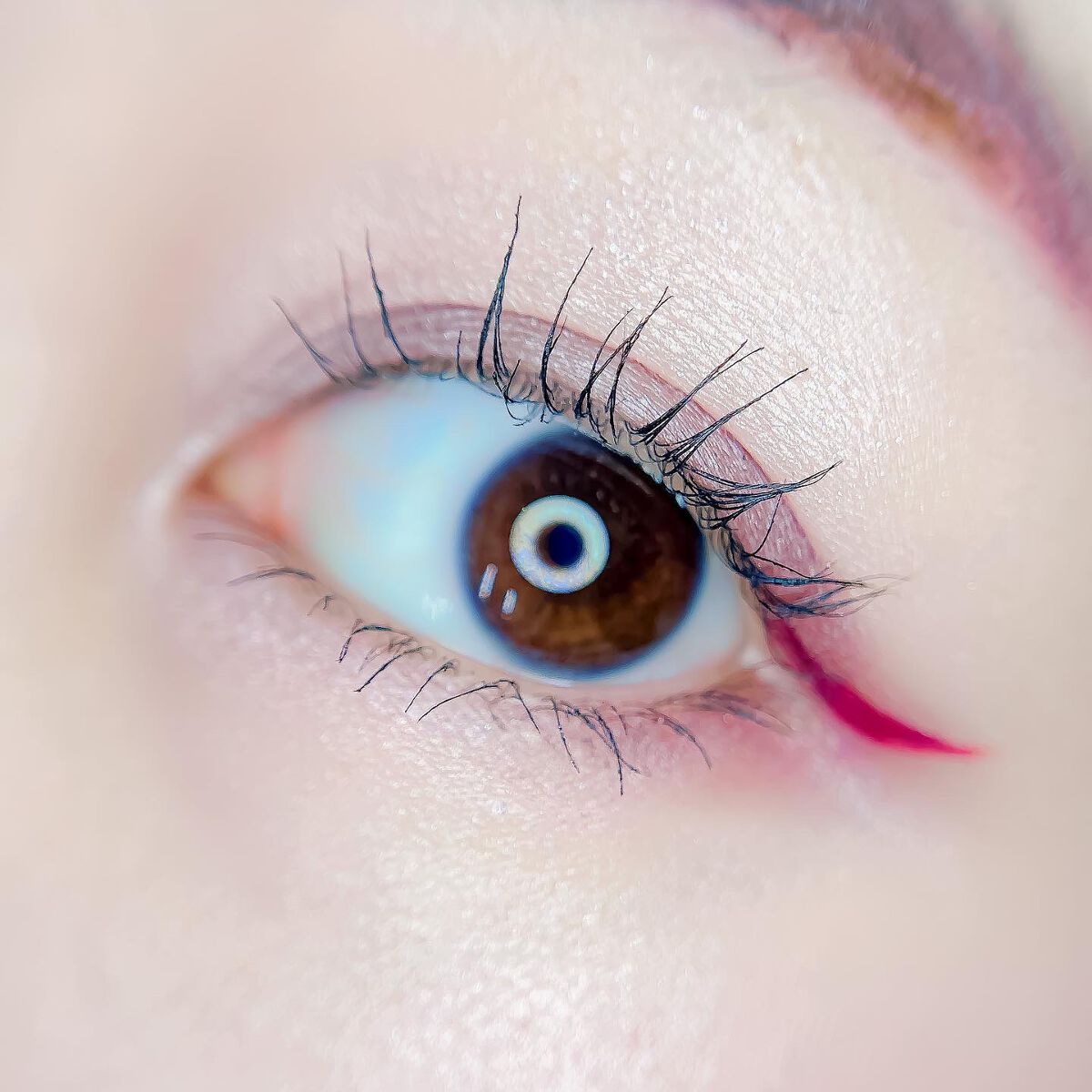 【旧】サンク クルール クチュール/Dior/アイシャドウパレットを使ったクチコミ(3枚目)