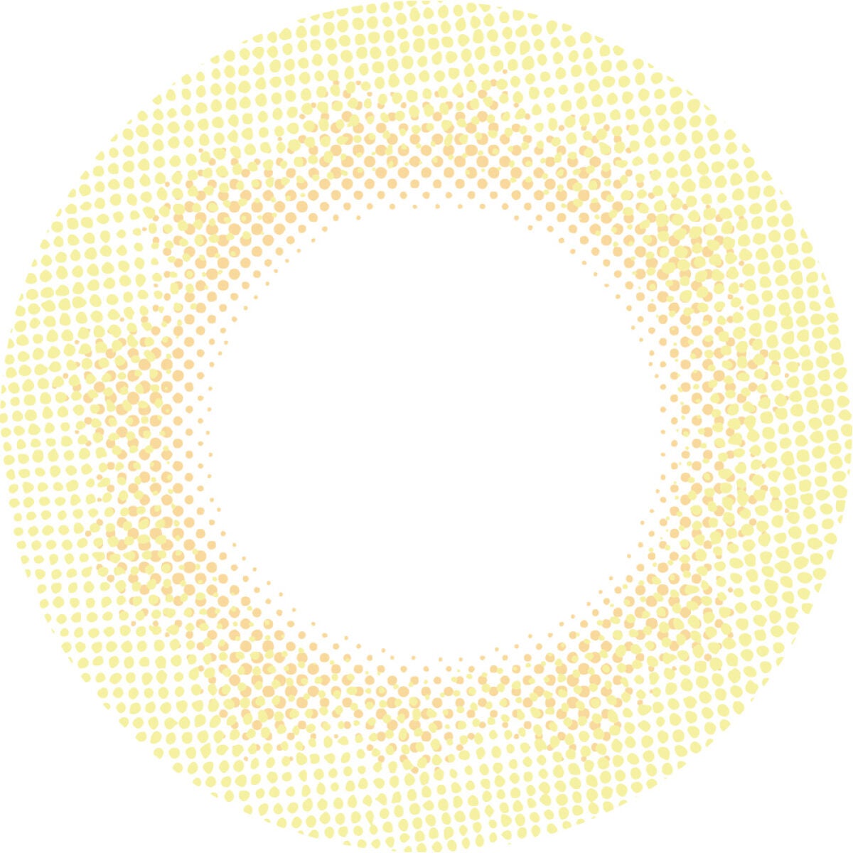 N’s COLLECTION 1day フルーツポンチ