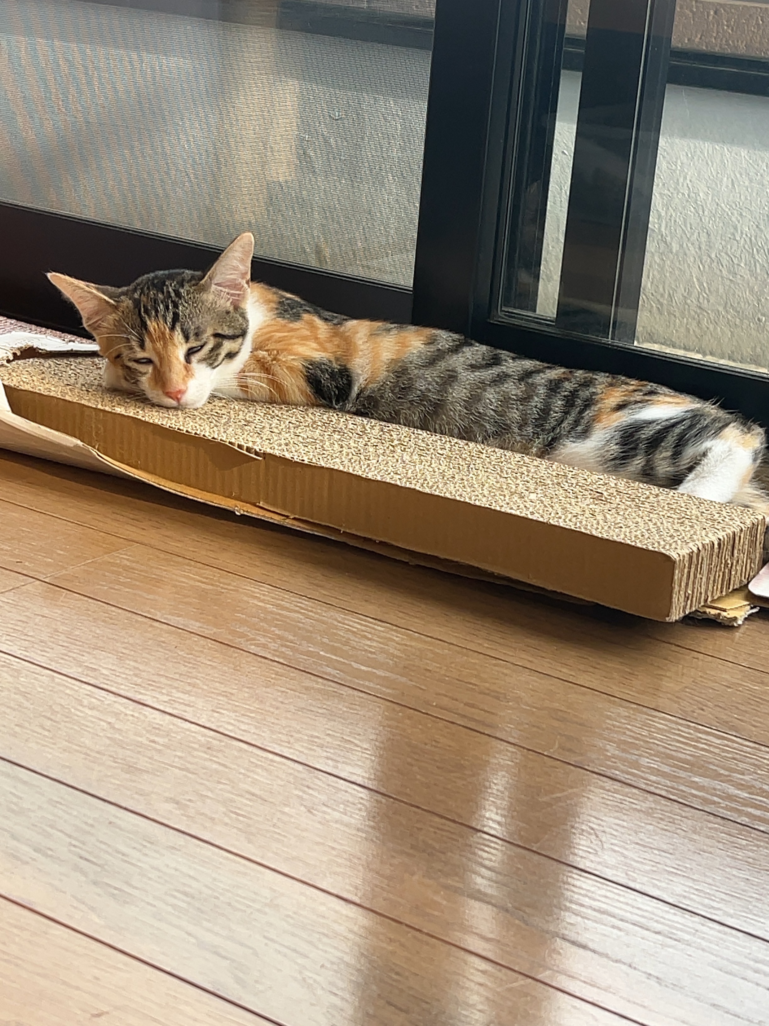 冷シート 無香性/ビオレ/ボディシートを使ったクチコミ（2枚目）