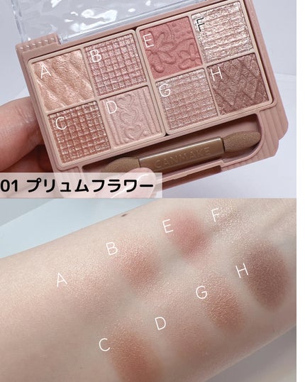 プティパレットアイズ/キャンメイク/パウダーアイシャドウを使ったクチコミ(2枚目)