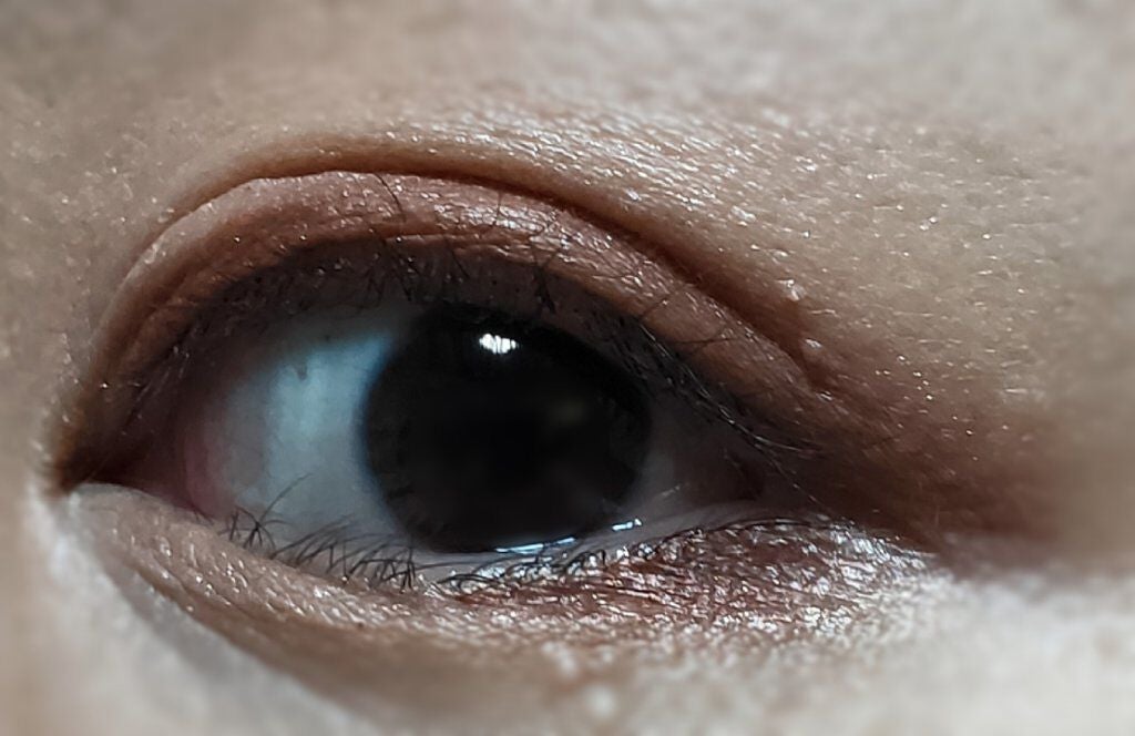 トーンアップアイシャドウ/CEZANNE/アイシャドウパレットを使ったクチコミ(5枚目)