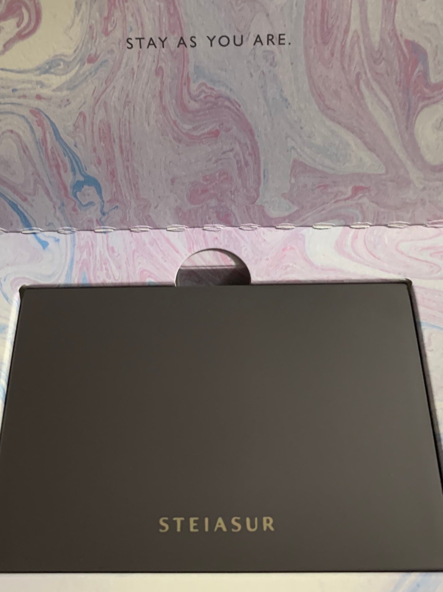 フィット my カラーパレット/STEIASUR(ステイアシュール)/マルチパレットを使ったクチコミ(3枚目)