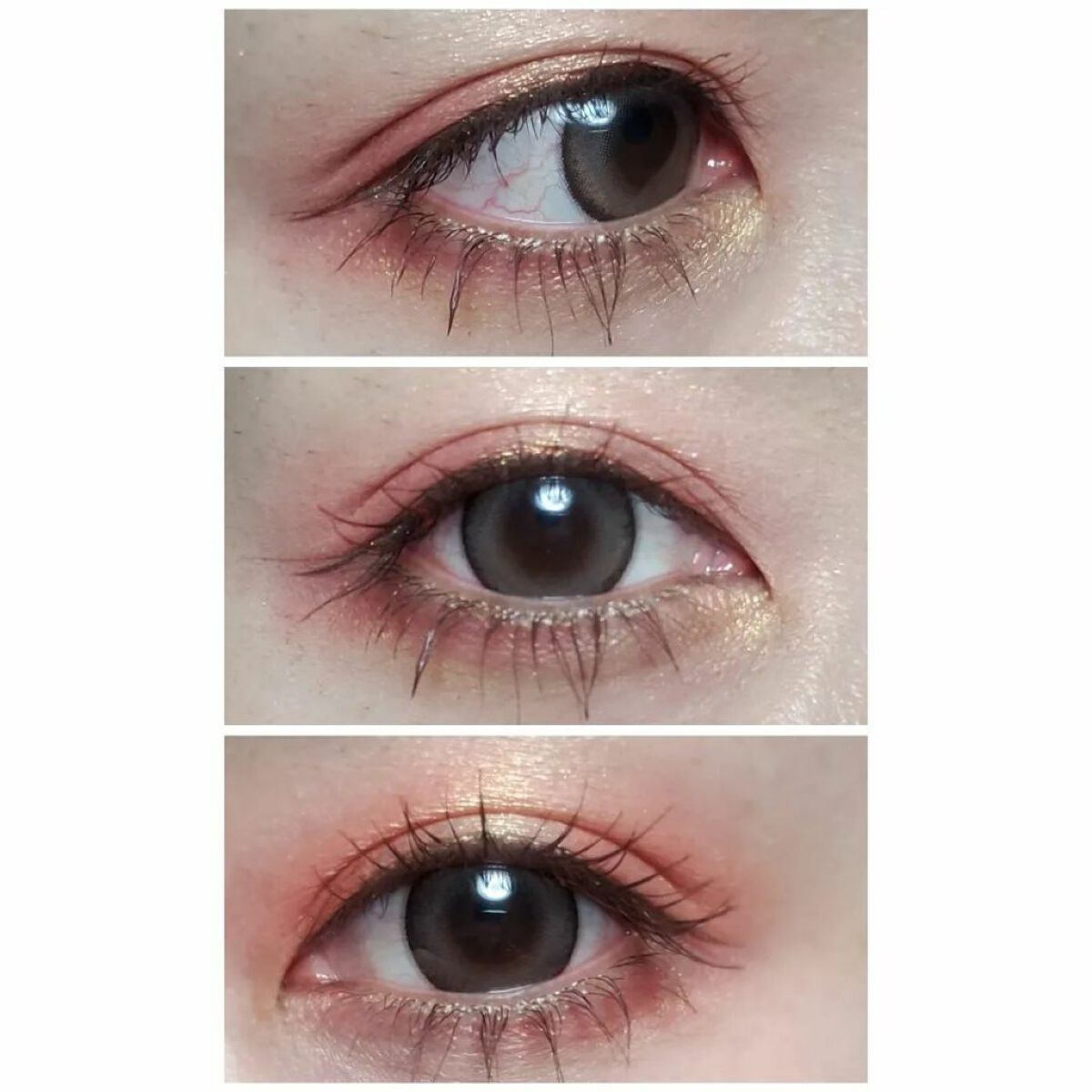 SIXPLUS 4色アイシャドウ #03サンセットブラウン/SIXPLUS/アイシャドウパレットを使ったクチコミ（3枚目）