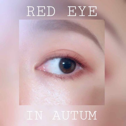 パーフェクトマルチアイズ/キャンメイク/アイシャドウパレットを使ったクチコミ(1枚目)