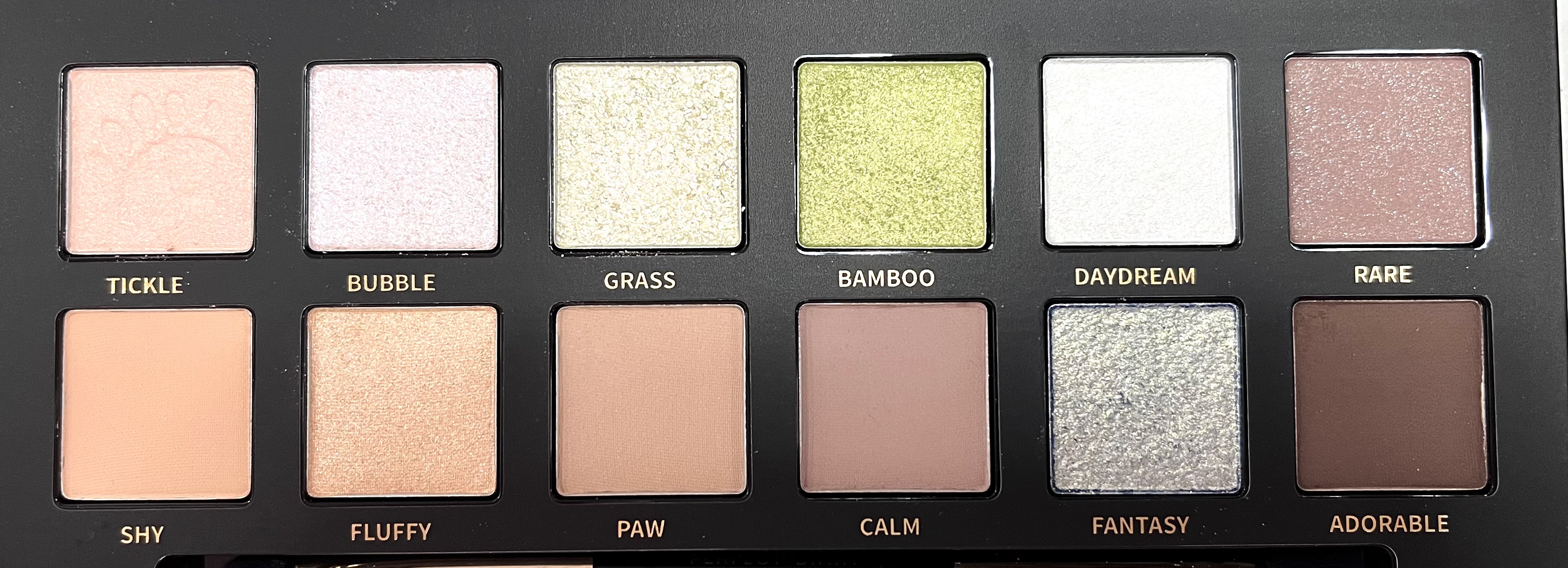 エクスプローラ12色 動物アイシャドウパレット/PERFECT DIARY/アイシャドウパレットを使ったクチコミ（3枚目）