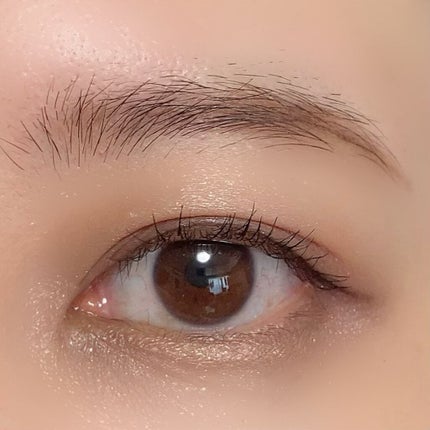 ロイヤルヴィンテージ アイズ 013/リンメル ロンドン/アイシャドウパレットを使ったクチコミ(2枚目)