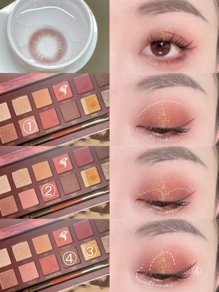 エクスプローラ12色 動物アイシャドウパレット/PERFECT DIARY/アイシャドウパレットを使ったクチコミ(3枚目)