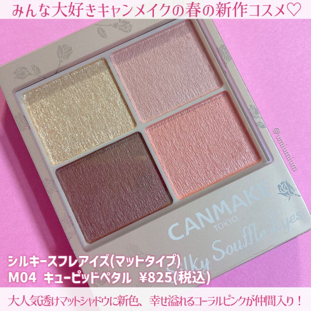 シルキースフレアイズ（マットタイプ）/キャンメイク/アイシャドウパレットを使ったクチコミ（2枚目）