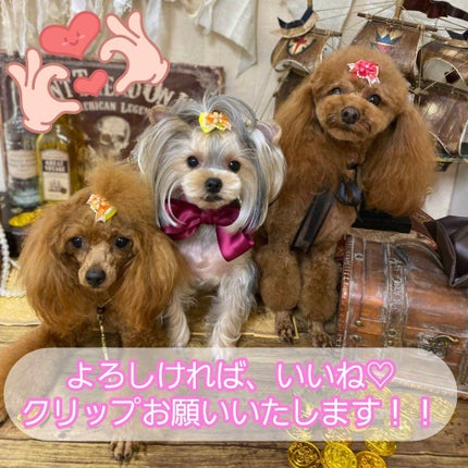 オサジ アップリフト ネイルカラー/OSAJI/マニキュアを使ったクチコミ(3枚目)