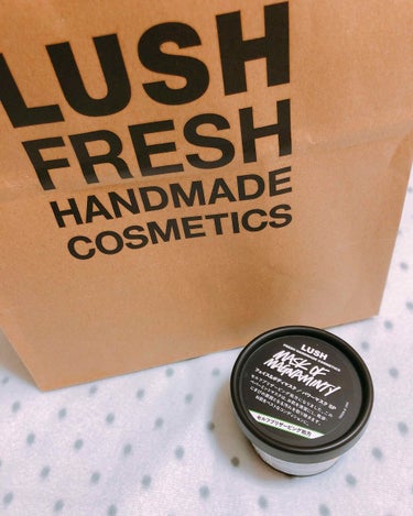 LUSHに行って店員さんに毛穴汚れとニキビが気になると相談したところオススメされたもの

スーッとしたチョコミントのような香り

塗ってみると肌がスースーして気持ちよかった
でもスースーを通り越して若干