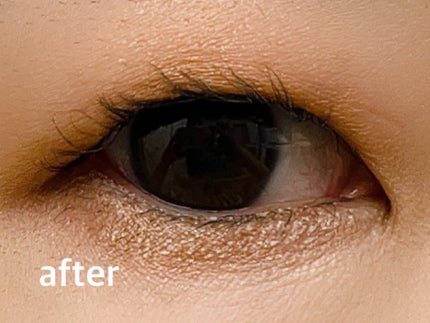 ã¯ããã§ãããããŒãã«ãŒã©ãŒ/SHOBIDO/ããããã¥ãŒã©ãŒã䜿ã£ãã¯ãã³ãïŒ4æç®ïŒ