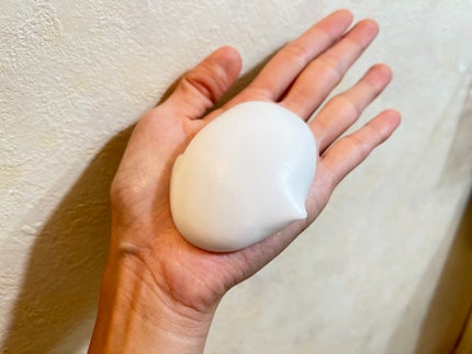 を使ったクチコミ(2枚目)