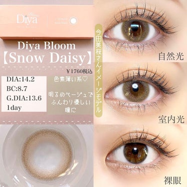 Diya Bloom UVモイスト/Diya/カラーコンタクトレンズを使ったクチコミ（3枚目）