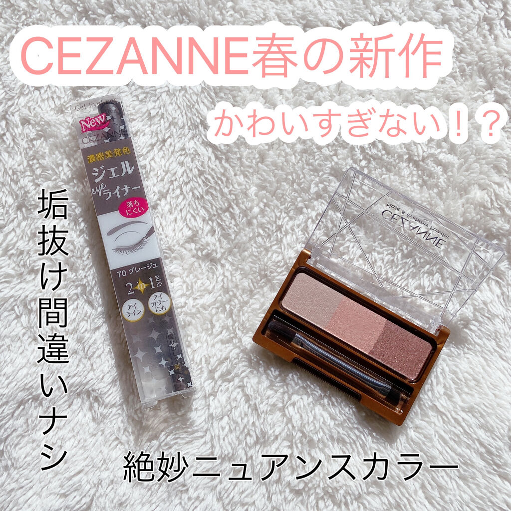 ノーズ＆アイブロウパウダー/CEZANNE/パウダーアイブロウを使ったクチコミ（1枚目）
