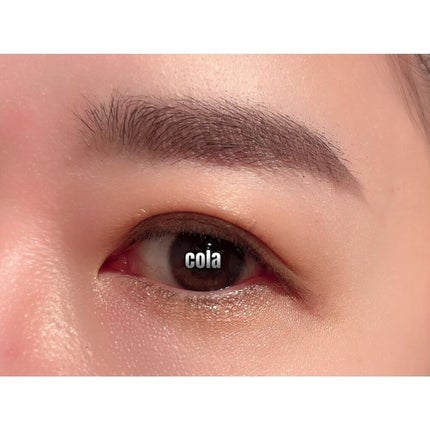 パノラマデザイン アイパレット/Visée/アイシャドウパレットを使ったクチコミ(5枚目)