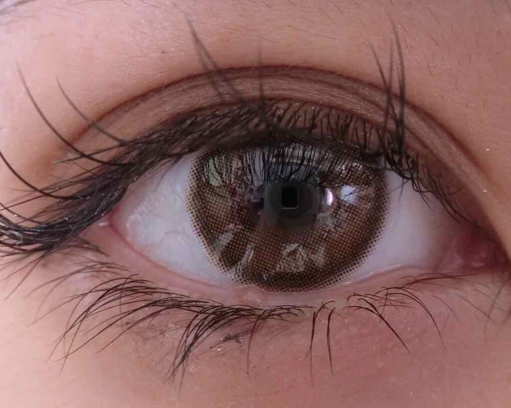 ViVi Ring 1day/OLENS/ワンデー(1DAY)カラコンを使ったクチコミ(4枚目)