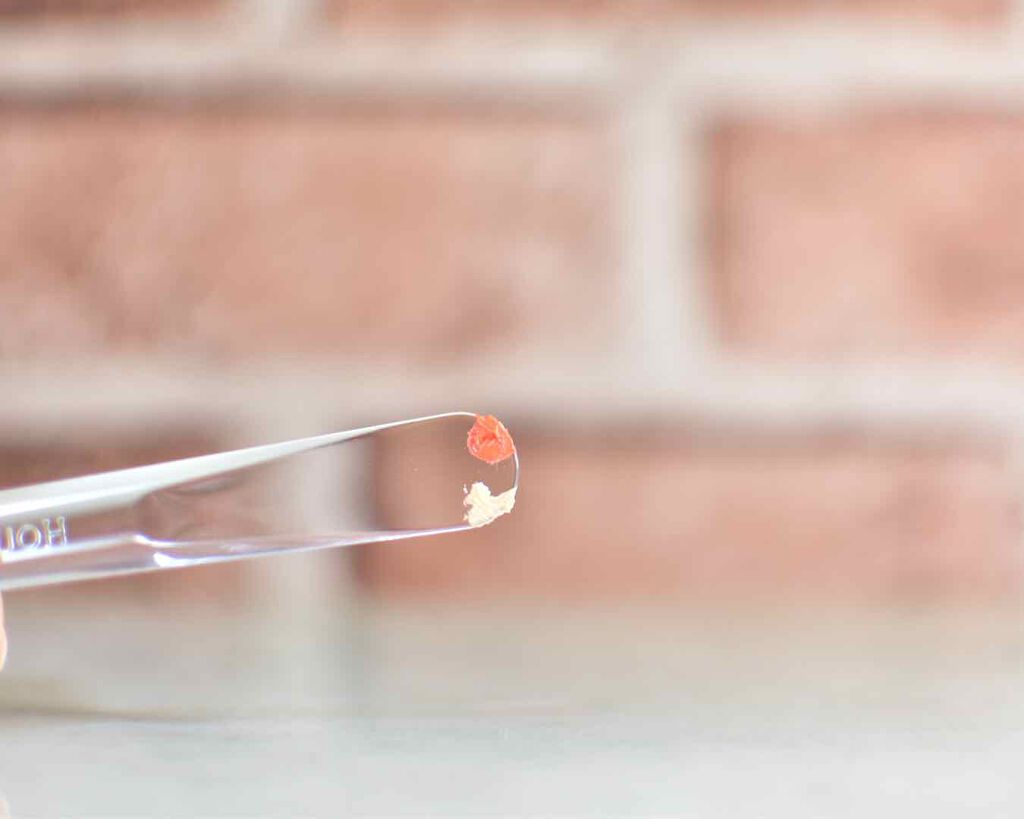 レッドヌードルージュ/KATE/口紅を使ったクチコミ（3枚目）