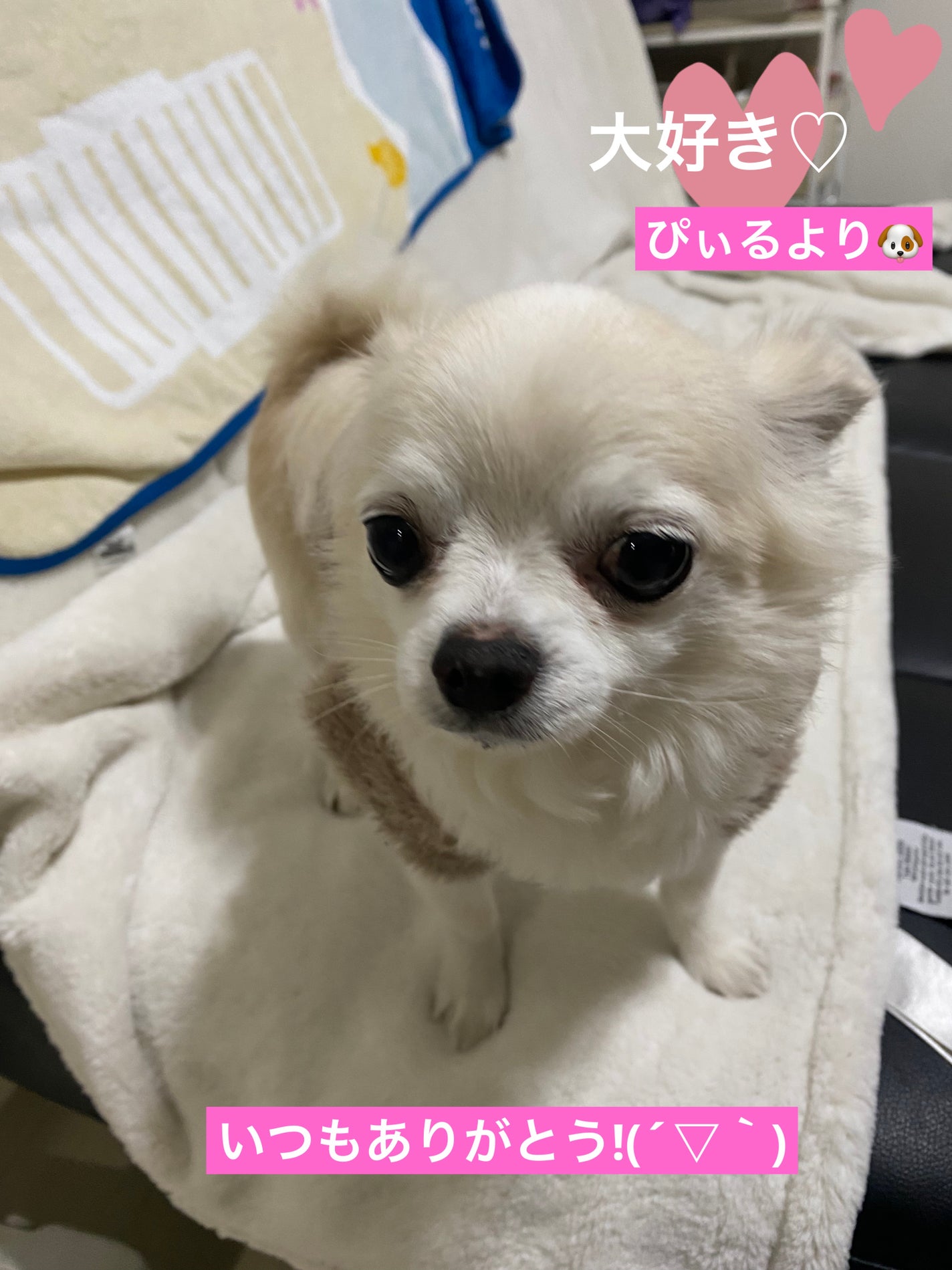 ヴェルニ ロング トゥニュ/CHANEL/マニキュアを使ったクチコミ(7枚目)