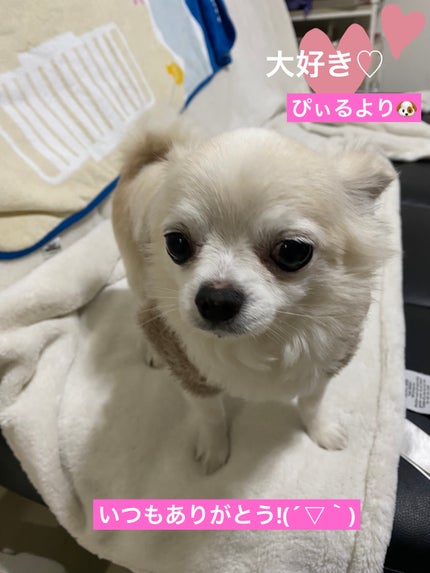 ヴェルニ ロング トゥニュ/CHANEL/マニキュアを使ったクチコミ(7枚目)