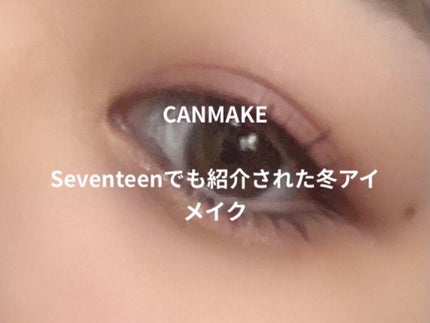 パーフェクトスタイリストアイズ/キャンメイク/アイシャドウパレットを使ったクチコミ(1枚目)