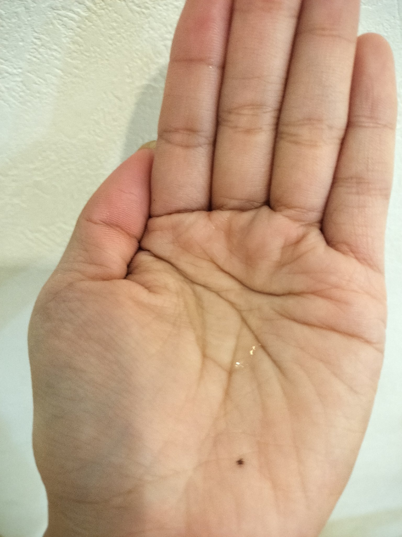 V エッセンス/unlabel/美容液を使ったクチコミ（3枚目）