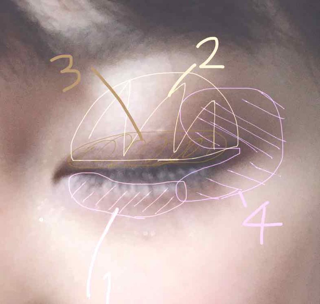 ロリポップス アイパレット ローズモンマルトル/ときわ商会/アイシャドウパレットを使ったクチコミ（3枚目）