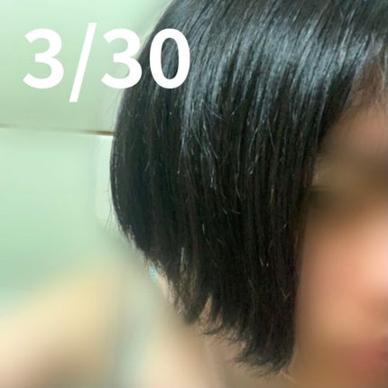 MASUGU シャンプー/トリートメント/STYLEE/市販シャンプーを使ったクチコミ(2枚目)